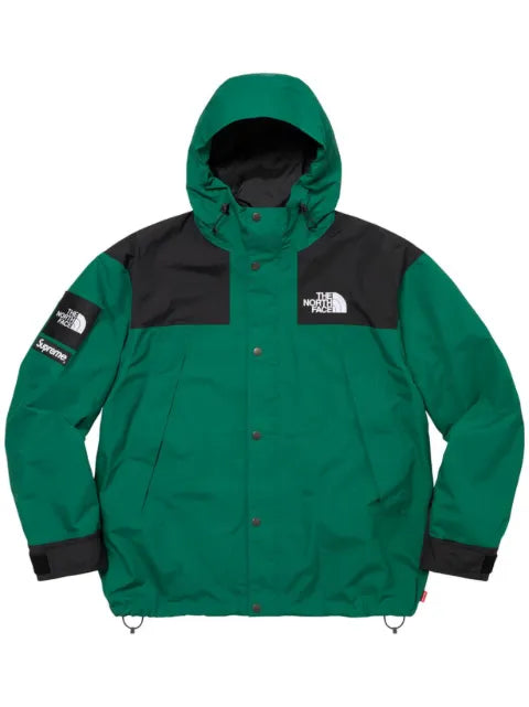 Supreme x The North Face mountain jacket